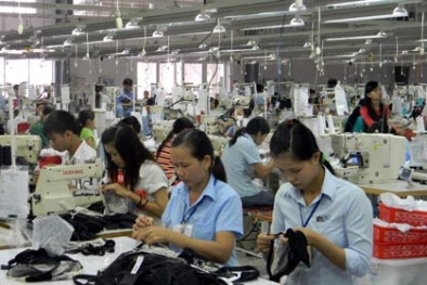 Thừa Thiên - Huế: Thúc đẩy xây dựng mô hình tích hợp về năng suất chất lượng