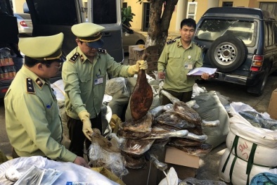 Chân giò lợn, xì dầu nhập lậu trôi nổi về Hà Nội tiêu thụ