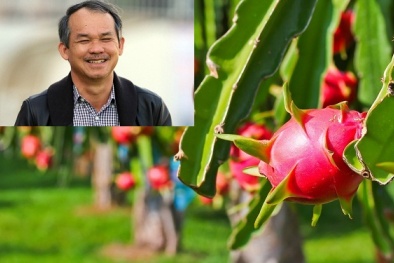 Đau đầu hơn đại gia Lê Phước Vũ, bầu Đức đang ‘ngụp lặn’ trong khoản nợ gần 60 nghìn tỷ