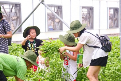 VinEco lọt Top 10 Công ty uy tín ngành thực phẩm - đồ uống 2018