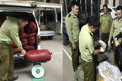 Nhập lậu lượng lớn trám đen, nầm lợn về bán cho nhà hàng kiếm lời