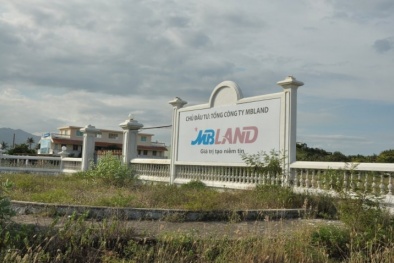 Hé lộ về nhân vật vừa ngồi 'ghế nóng' MBLand sau 2 tuần 'ôm' hàng triệu cổ phần