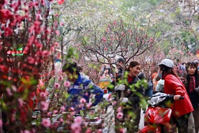 Chính thức: Tết Dương lịch 2019 được nghỉ 4 ngày, Tết Nguyên đán được nghỉ 9 ngày