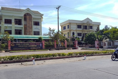 Vì sao Thuận Thảo của 'bông hồng vàng Phú Yên' lỗ chồng lỗ, cổ phiếu không bằng cốc trà đá?