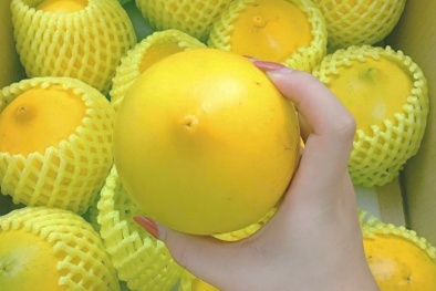 Vú sữa Hoàng Kim: Hàng nhập giá tiền triệu, hàng Việt giá chỉ vài trăm nghìn