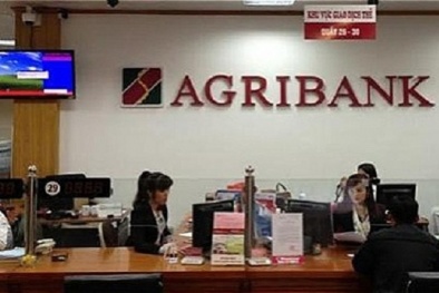 Ngân hàng nhà nước cam kết đảm bảo tiền gửi cho khách hàng Agribank