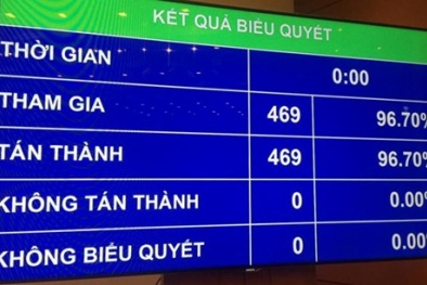 Quốc hội thông qua Nghị quyết phê chuẩn Hiệp định CPTPP