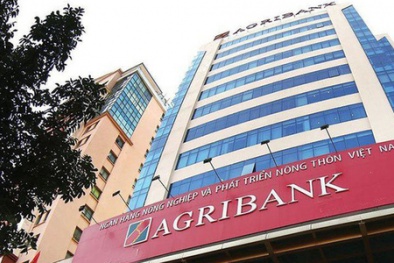 'Vận đen' của Agribank: Nợ xấu tăng, tài sản phát mãi khó bán