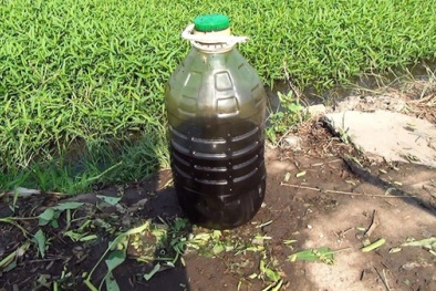 Nhộn nhịp thị trường dầu nhớt thải