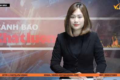 Bản tin Cảnh báo chất lượng: Tiêu hủy hơn 1 tấn chân gà 'thối'