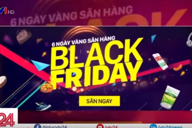 Người Việt có hào hứng với các đợt sale online?