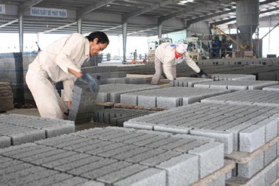 Đề xuất tro, xỉ, thạch cao phải chứng nhận hợp chuẩn trước khi sử dụng