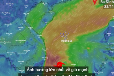 Bão số 9 hướng vào Nam Trung Bộ, có thể đổ bộ vào tối 24/11