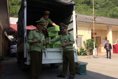 Nhập lậu lượng lớn kẹo cao su từ Trung Quốc về Việt Nam tiêu thụ