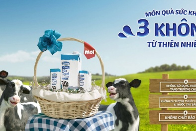 Quà tặng tháng 10 cùng sữa bột trẻ em và sữa bột pha sẵn Vinamilk