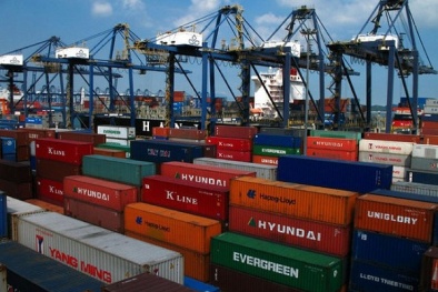 Về việc 50 container hải sản ứ đọng: Doanh nghiệp có trách nhiệm truy xuất nguồn gốc