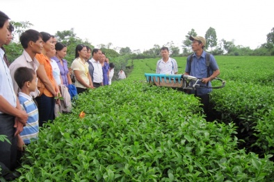 Khoa học và công nghệ góp phần đẩy nhanh quá trình xây dựng nông thôn mới