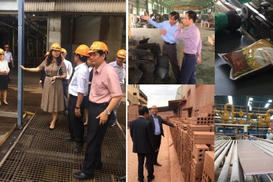 Thẩm định tại chỗ 80 doanh nghiệp tham gia Giải thưởng Chất lượng Quốc gia 2018
