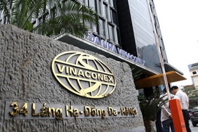 Thấy gì qua thương vụ M&A Vinaconex?