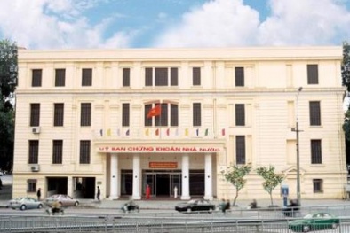 Thêm loạt đại gia chứng khoán dính 'án' nộp phạt