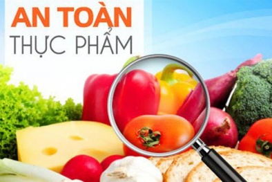 Sắp thí điểm triển khai thanh tra chuyên ngành ATTP tại 9 tỉnh, thành