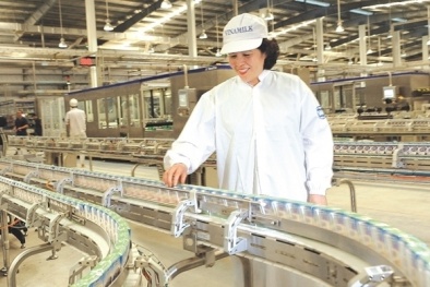 Vì sao cổ phiếu Vinamilk tăng mạnh?