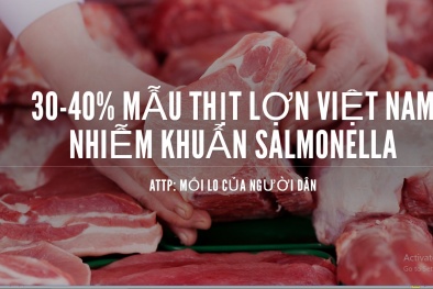 Nguy cơ ngộ độc, mắc bệnh đường ruột từ thịt nhiễm khuẩn Salmonella