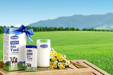 Vinamilk chốt quyền tạm ứng cổ tức 10%