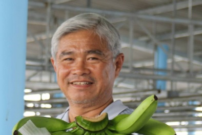 Chuối Việt Nam vào Nhật phải đảm bảo 200 chỉ tiêu về chất lượng