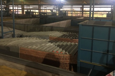Nhà khoa học trong nước nghiên cứu ứng dụng hệ thống sấy lúa giảm 30% chi phí