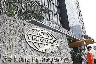 Hé lộ nhóm cổ đông đứng sau An Quý Hưng thâu tóm Vinaconex