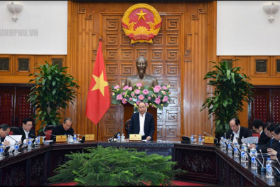 Thủ tướng Chính phủ 'đặt hàng' tìm động lực tăng trưởng mới