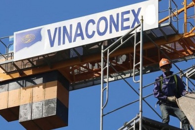 Vì sao Vinaconex bị phạt 'nặng', truy thu thuế lên tới gần 5 tỷ đồng?