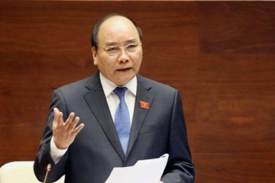 Thủ tướng: Các địa phương cần có chương trình hành động, không để tình trạng 'thích thì làm, không thích thì thôi'