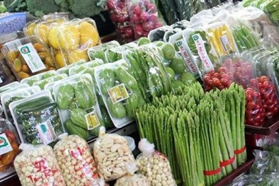 Tiêu chuẩn kỹ thuật là 'chìa khóa' giúp DN Việt xuất khẩu nông sản vào thị trường quốc tế