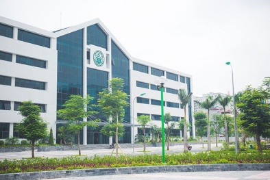 Văn Phú Invest, Hoa Sen, Tân Tạo dính án phạt vì vi phạm pháp luật về thuế