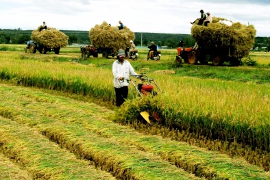 Bộ Nông nghiệp và Phát triển Nông thôn nêu 3 thách thức trong thời gian tới