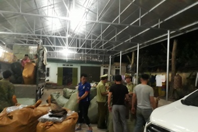 Gần 10.000 túi đựng bột ngọt giả nhãn hiệu nổi tiếng bị tóm gọn