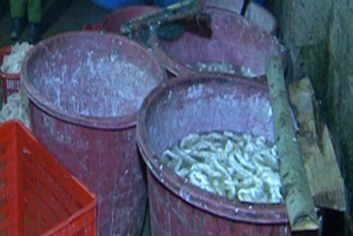 Thanh Hóa: Phát hiện cơ sở chế biến hơn 300kg nội tạng bẩn mỗi ngày
