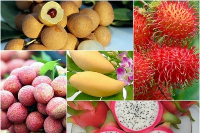 Trung Quốc coi trọng chất lượng trái cây của Việt Nam