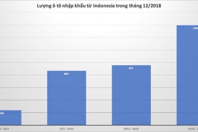 Tuần cuối năm 2018, ô tô nguyên chiếc từ thị trường Thái Lan, Indonesia ồ ạt vào Việt Nam
