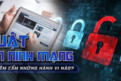 Vi phạm Luật An ninh mạng, người dùng có thể bị truy cứu trách nhiệm hình sự?