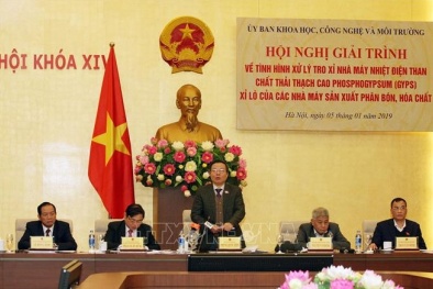 Hoàn thiện các tiêu chuẩn, quy chuẩn để giải quyết có hiệu quả vấn đề về tro xỉ, thạch cao