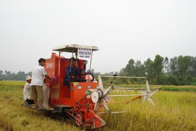 Tổng cục TCĐLCL giải đáp khúc mắc của nông dân về điều kiện vay mua máy nông nghiệp