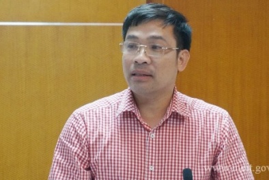 Bộ Công thương: Thanh tra hàng trăm doanh nghiệp là 'hoạt động bình thường'