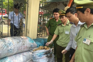 Lào Cai: Thu giữ 700kg thực phẩm bẩn đang trong quá trình phân hủy