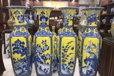 Lục bình phong thủy đắt hàng dịp giáp Tết