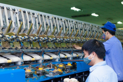 Công ty Cổ phần Dệt 19/5 Hà Nội có dấu hiệu gây thất thoát hơn 300 tỷ đồng