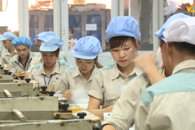 Tốc độ tăng trưởng năng suất lao động của Việt Nam thuộc hàng cao nhất khu vực