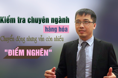 Kiểm tra chuyên ngành hàng hóa: Chuyển động nhưng vẫn còn không ít... 'điểm nghẽn'